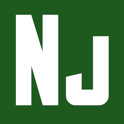 nunjucks logo